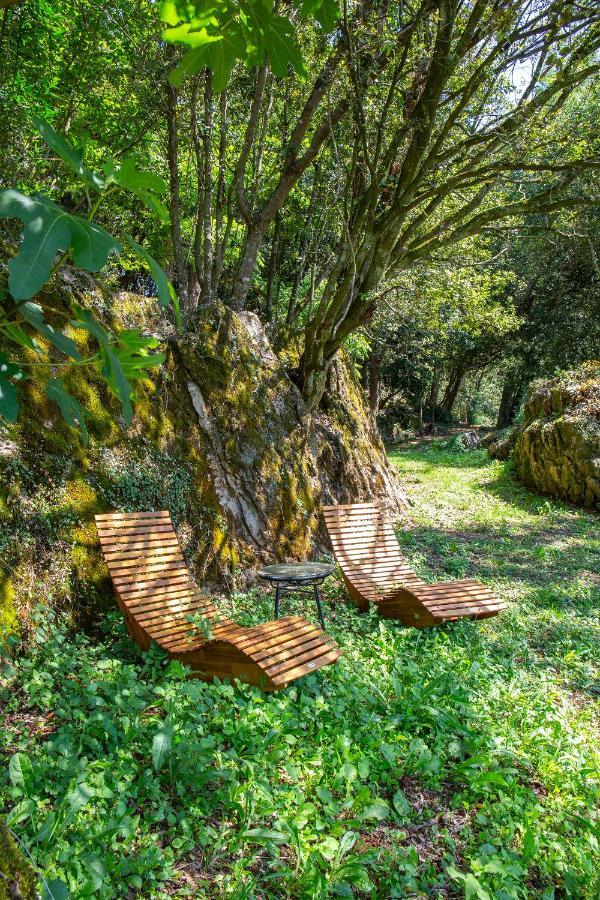 Vibe Luxury Cabins 아르누에로 외부 사진